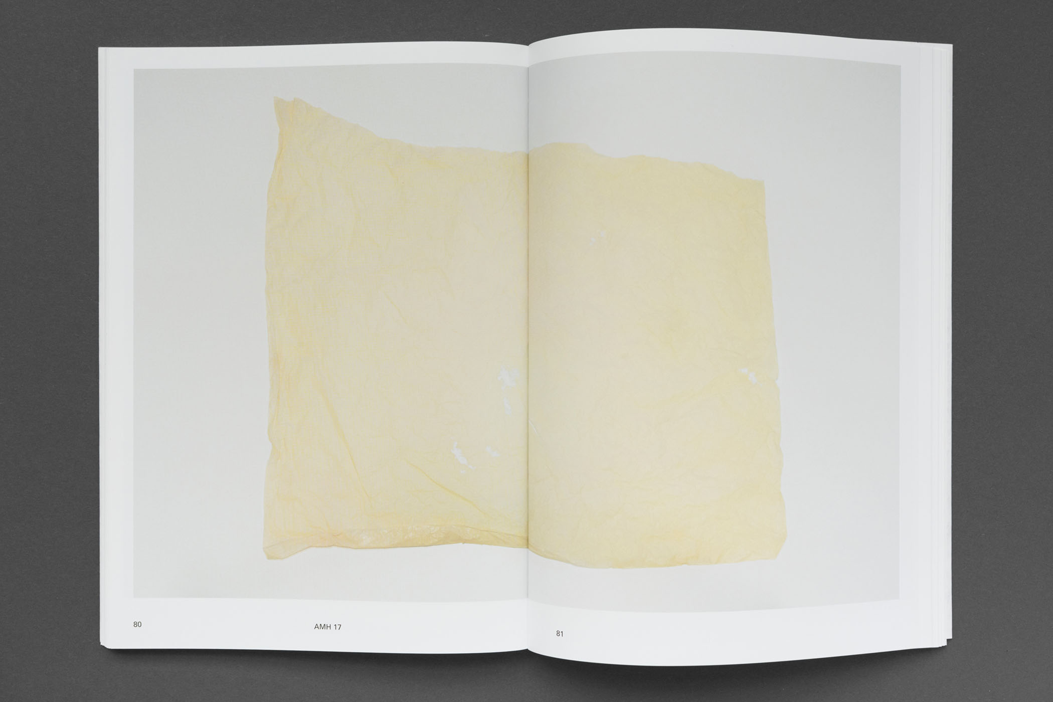 Ane Mette Hol, Jan Schmidt: Condition Report